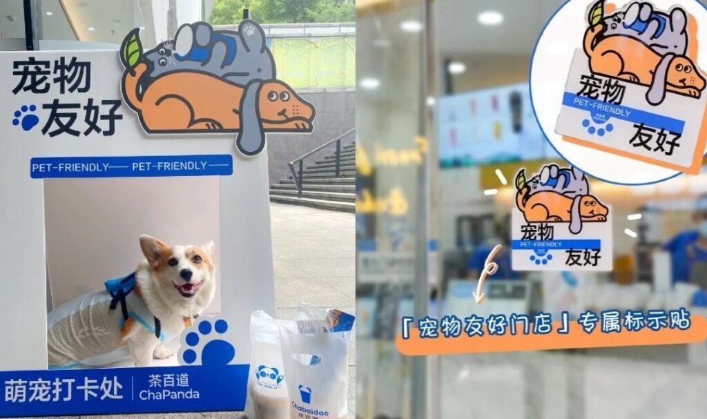 Comment les China Stores redéfinissent le commerce de détail ?