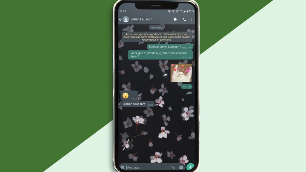 Point vert sur Messenger toujours actif : que cela signifie-t-il pour votre vie privée ?