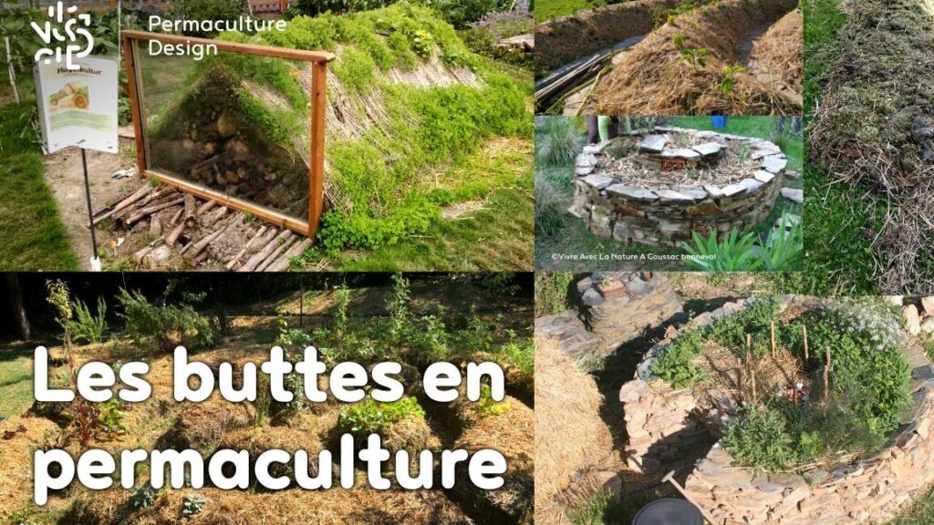 Comment créer un schéma de butte en permaculture ?