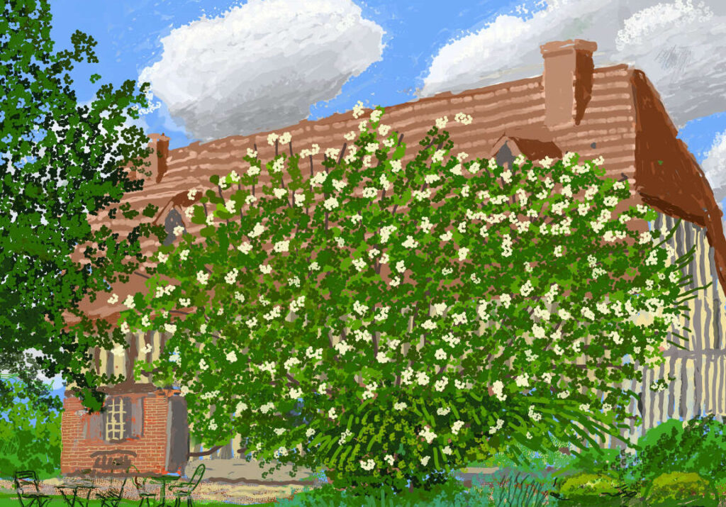 Comment David Hockney révolutionne-t-il l’art moderne avec son iPad ?