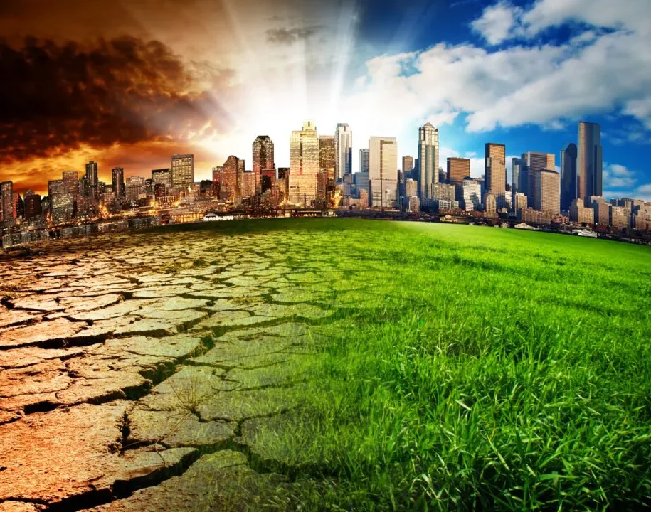 La vague verte sur Twitter : comment les mouvements écologiques transforment-ils le réseau social ?