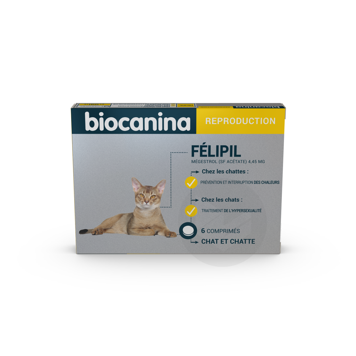Pilule chat sans ordonnance - Félipil