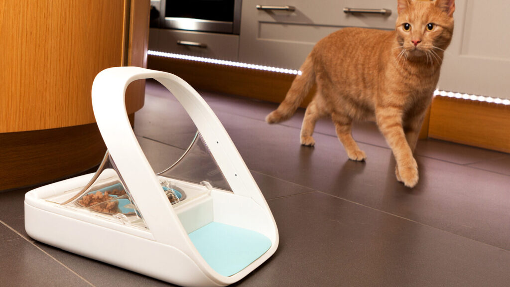 Comment choisir la meilleure gamelle électronique pour votre animal de compagnie ?