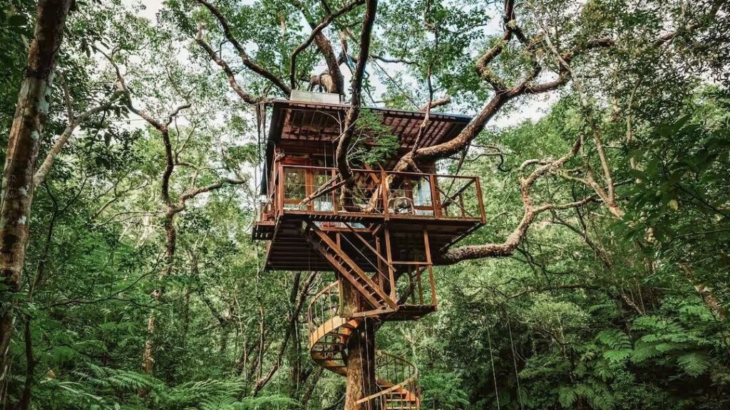 La cabane au Canada: une parenthèse technologique en pleine nature