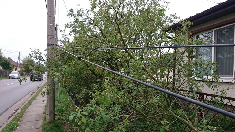Obstacle végétation sur fibre aérienne
